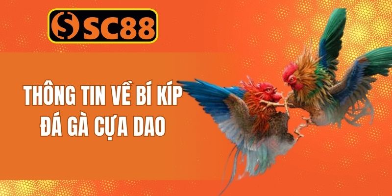 Thông tin giới thiệu bí kíp đá gà cựa dao