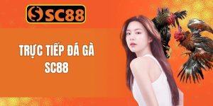 Trực Tiếp Đá Gà SC88